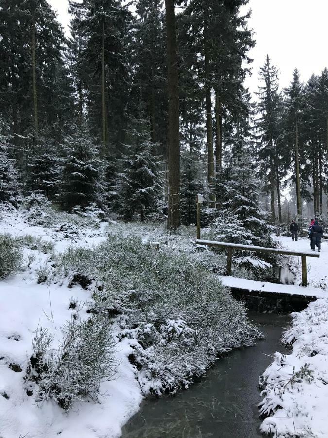 Hahnenklee Ferienpark 7-511 Goslar Zewnętrze zdjęcie