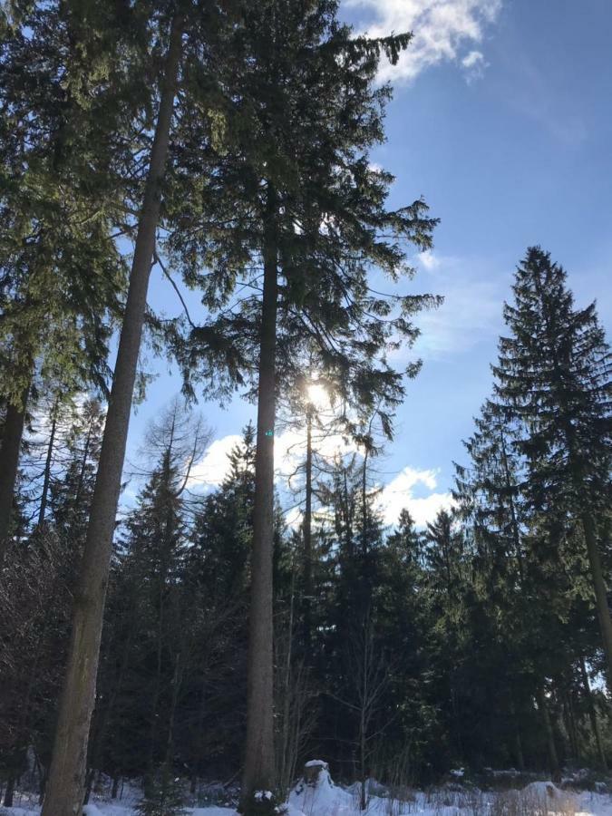 Hahnenklee Ferienpark 7-511 Goslar Zewnętrze zdjęcie