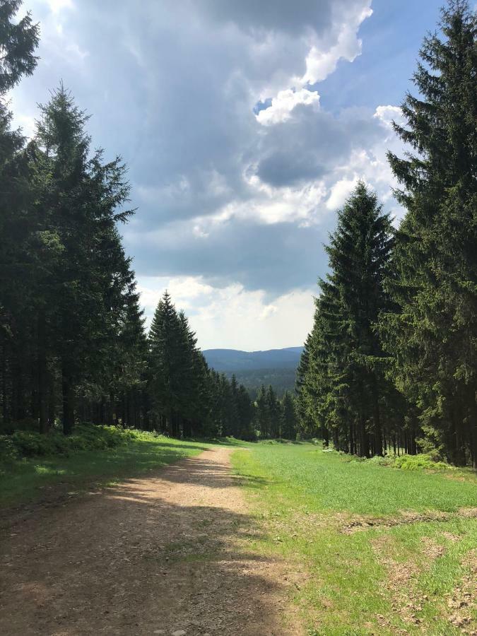 Hahnenklee Ferienpark 7-511 Goslar Zewnętrze zdjęcie