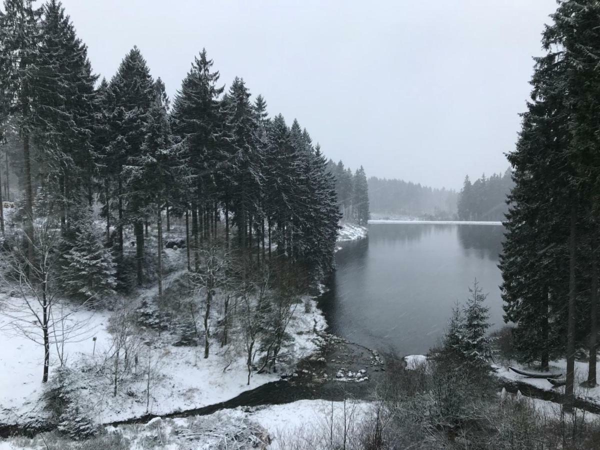 Hahnenklee Ferienpark 7-511 Goslar Zewnętrze zdjęcie